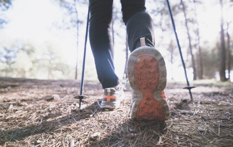 crop-legs-walking-forest